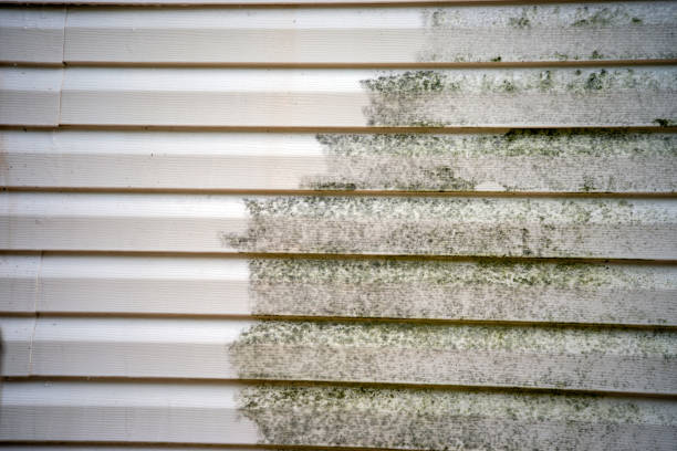 Best Storm Damage Siding Repair  in Country Clu, CA